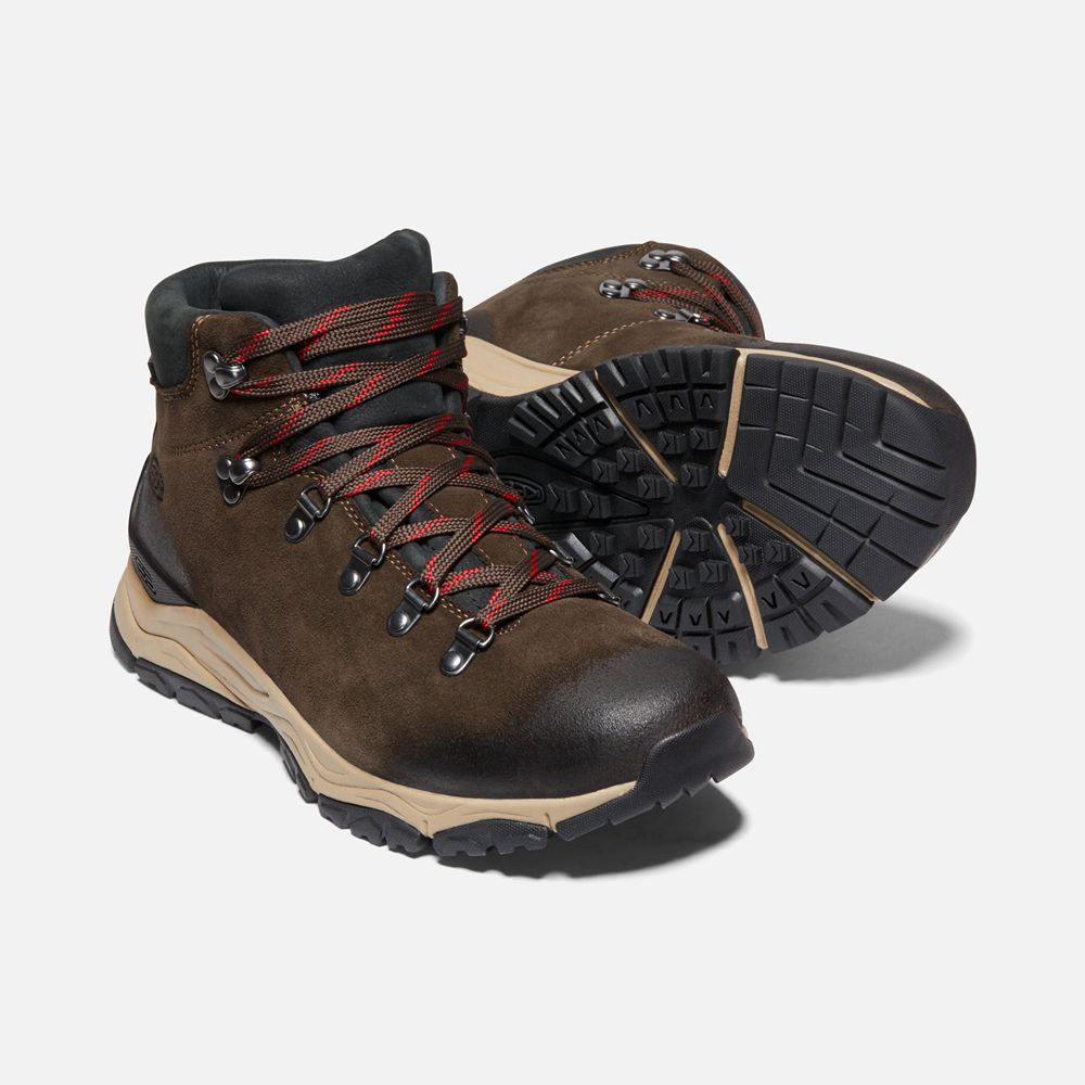 Bottes de Randonnée Keen Homme Marron | Feldberg Apx Waterproof | IESPX-1923